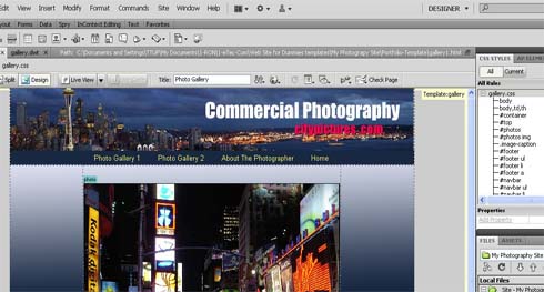 Web Publishing